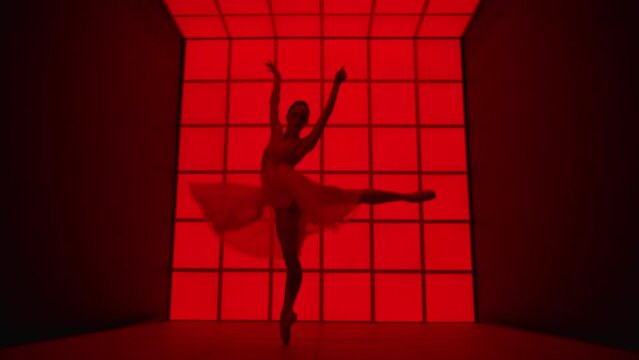 Silhouette of a beautiful classical music dancer. She dances in front of a modern and futuristic red background
Concept of freedom, passion, love