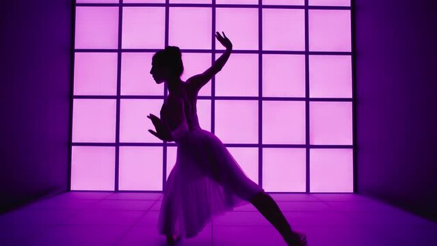 Silhouette of a beautiful classical music dancer. She dances in front of a modern and futuristic color changing background.
Concept of freedom, lgbt and colors