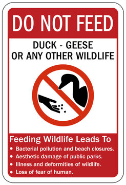 Do not feed animals sign duck, geese or any other wildlife