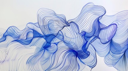 Quick contour lines free hand black and blue pen sketch5 - obrazy, fototapety, plakaty