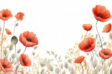 watercolor red poppy flowers frame border isolated on white background. Can be used for business card, scrapbook and other printed products. watercolor of poppy flowers frame. 