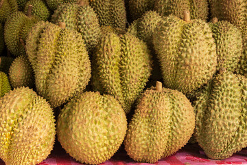 durian fruits on branches as background.