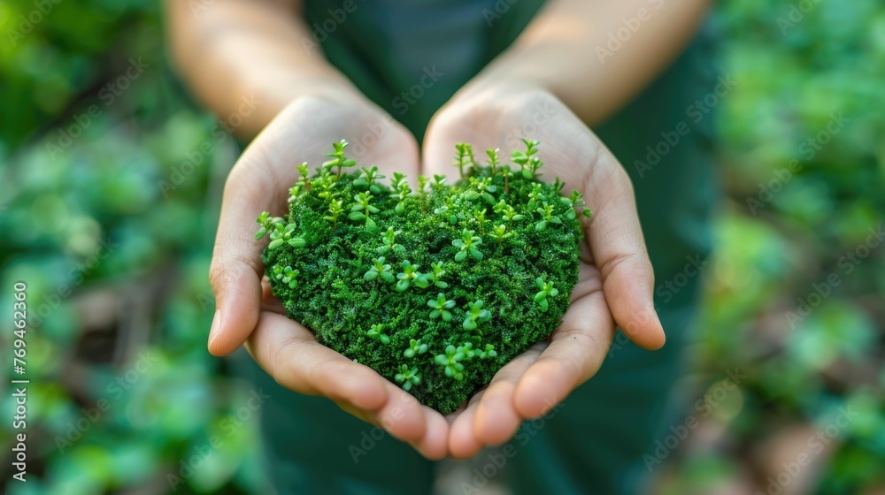 Wall mural concept of environmental stewardship and care for our planet it shows hands gently cupping a heart-s