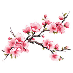 Fototapeta na wymiar Apanese Sakura Branches Clipart clipart 