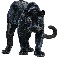 Black Panthera Clipart clipart isolated on white background - obrazy, fototapety, plakaty