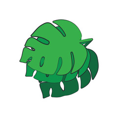 Leaf Illustration