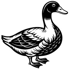 duck vector design 