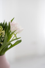 Blumen mit weiß-grauem Hintergrund, Hintergrundbild, Sliderbild
