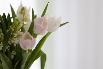 Blumen mit weiß-grauem Hintergrund, Hintergrundbild, Sliderbild