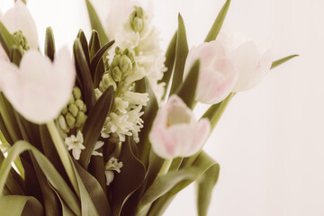 Blumen mit weiß-grauem Hintergrund, Hintergrundbild, Sliderbild