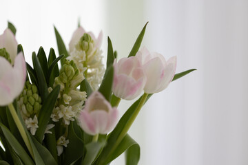 Blumen mit weiß-grauem Hintergrund, Hintergrundbild, Sliderbild