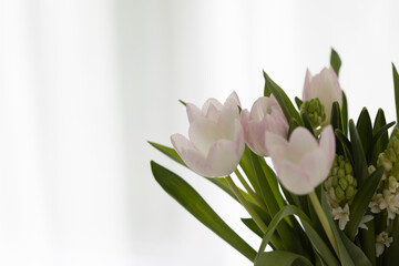 Blumen mit weiß-grauem Hintergrund, Hintergrundbild, Sliderbild