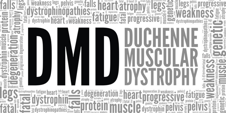 DMD Duchenne Muscular Dystrophy word cloud conceptual design isolated on white background.