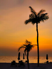 Beautiful romantic sunset over the sea. Hotel beach with palm trees, sunbeds and umbrellas blurred...
