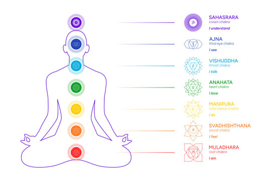 Chakras infographic, names, titles, line art symbol icons. Silhouette of a human body in a lotus position. Chakra system information illustration on white background