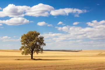 A lone tree in the middle of a field with blue sky and clouds