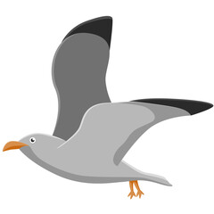 Seagull bird icon