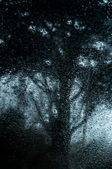 Photographie d'un arbre sombre derrière une vitre couverte de pluie le rendant abstrait.