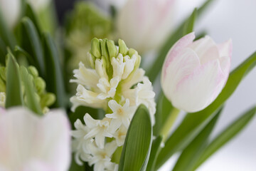 Tulpen und andere Blumen in Vase