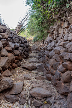 Ethiopia, typical pathway of stones in the  konso village  
