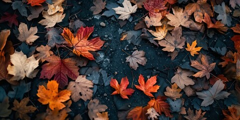 An image of fall season no people