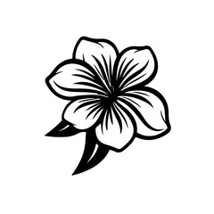 Obraz premium Flowers vector illustration 