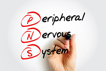 PNS Peripheral Nervous System - responsible for relaying information between your body and brain, acronym text with marker