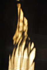 Abstract Shadows of Plants on Old Interior Wooden Floor