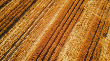 Aerial drone shot, orange farm field, modern, symmetrical vibrant eco background, isolated,...