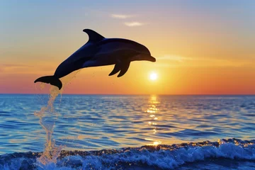 Gordijnen silhouette of a dolphin jump at sunset near the shore © primopiano