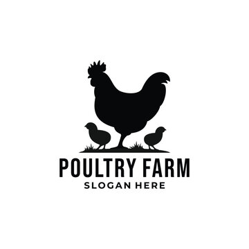 Poultry farm logo vector