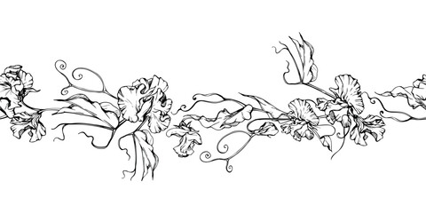 Hand drawn vector graphic ink illustration botanical flowers leaves. Sweet everlasting pea, vetch bindweed legume. Seamless banner isolated on white background. Design wedding, love cards, floral shop