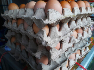 collection of many chicken eggs in an egg tray at home grocery store