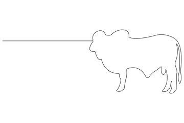Continuous one line art drawing of cow pet animal concept outline vector illustration