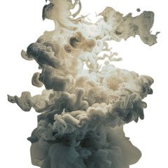Explosion of a cloud of powder of particles of colors gray and black on a white background