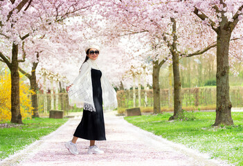 Portrait of a beautiful young Vietnamese woman in spring outfit walking along a cherry blossom alley. The path is covered with flower petals, reminiscent of snow. Spring and happiness concept.