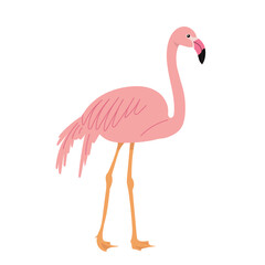 pink flamingo, in flat style vector