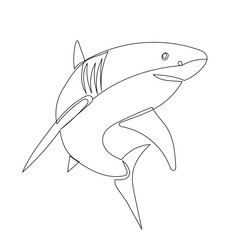 shark line drawing, sketch, contour on a white background vector