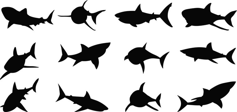 set of sharks from different angles silhouette vector