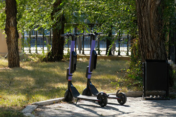 Scooter sharing in the park