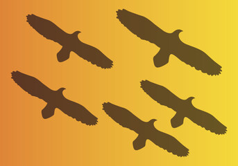 Silueta de aves volando en bandadas. 