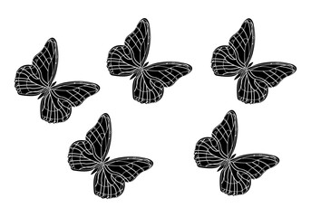 Icono negro de mariposa en fondo blanco. - obrazy, fototapety, plakaty