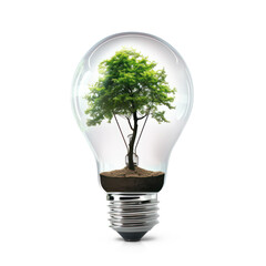 light bulb with a tree on transparency background PNG
