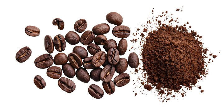 Isolated coffee beans on white background