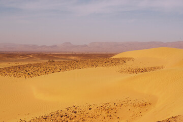 Fototapeta na wymiar Sahara desert dunes in Morocco near Mhamid
