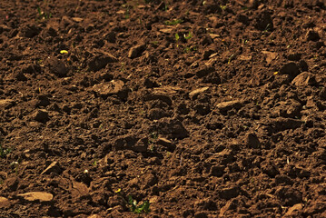 Soil that has not been cultivated for a long time (virgin soil), plowed with a shovel by hand.