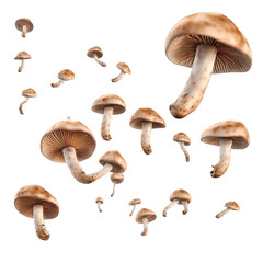 Flying champignon mushrooms - isolated on transparent background. generative AI.