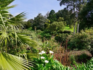 Panoramic view of Park of Monserrate Palace, Sintra, Portugal.