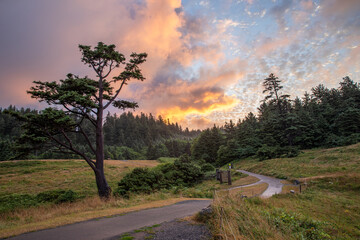 Colorful orange pink fire sunrise in Ecola State Park in Oregon in a chilly summer morning 