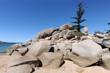 Arthur Bay beach scene with granite rocks and hoop pine, Magnetic Island, Queensland, Australia